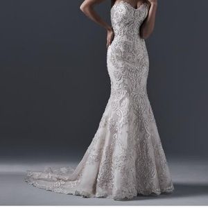 Maggie soretto - zinnia